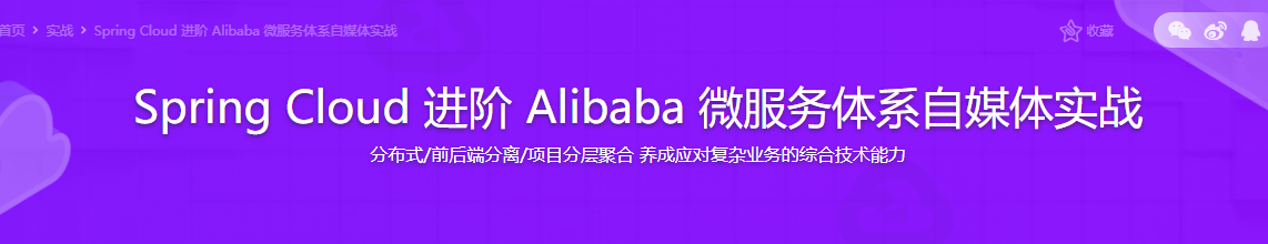 2022升级版Spring Cloud 进阶 Alibaba 微服务体系自媒体实战[26章无密]