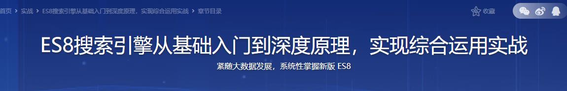 ES8搜索引擎从基础入门到深度原理，实现综合运用实战官方同步