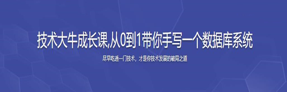 技术大牛成长课,从0到1带你手写一个数据库系统(超清完结)