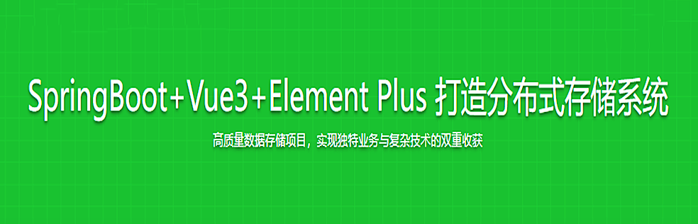 SpringBoot+Vue3+Element Plus 打造分布式存储系统(完结)